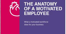 The Anatomy of a Motivated Employee