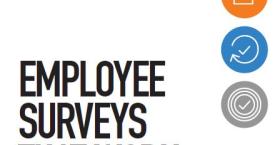 Employee Surveys That Work