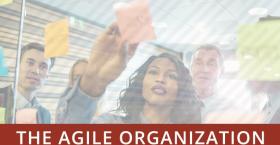 The Agile Organization: Four Ways Agility Improves Performance