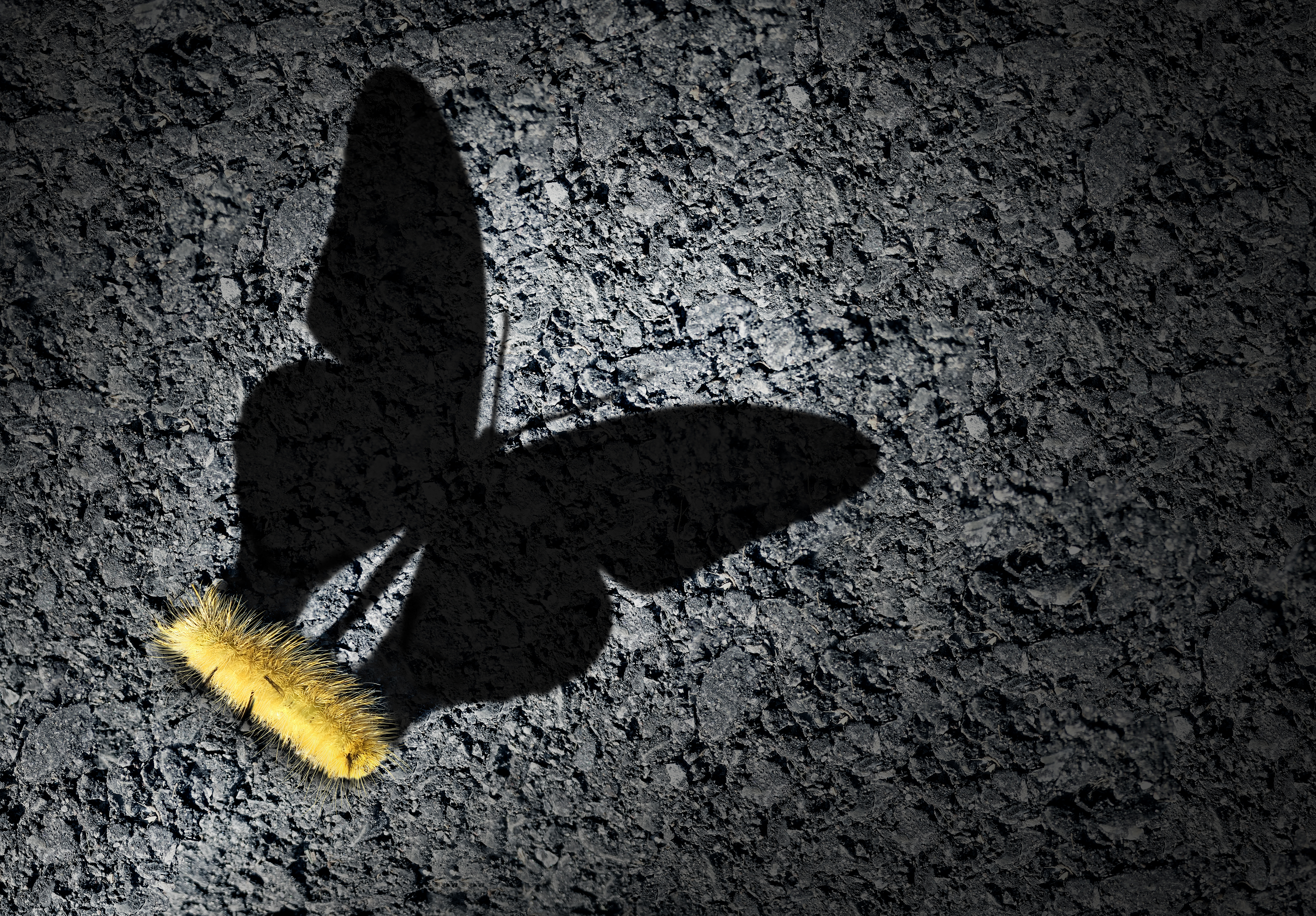 HCIPodcast: Tips for Finding the Right Coaching Mix