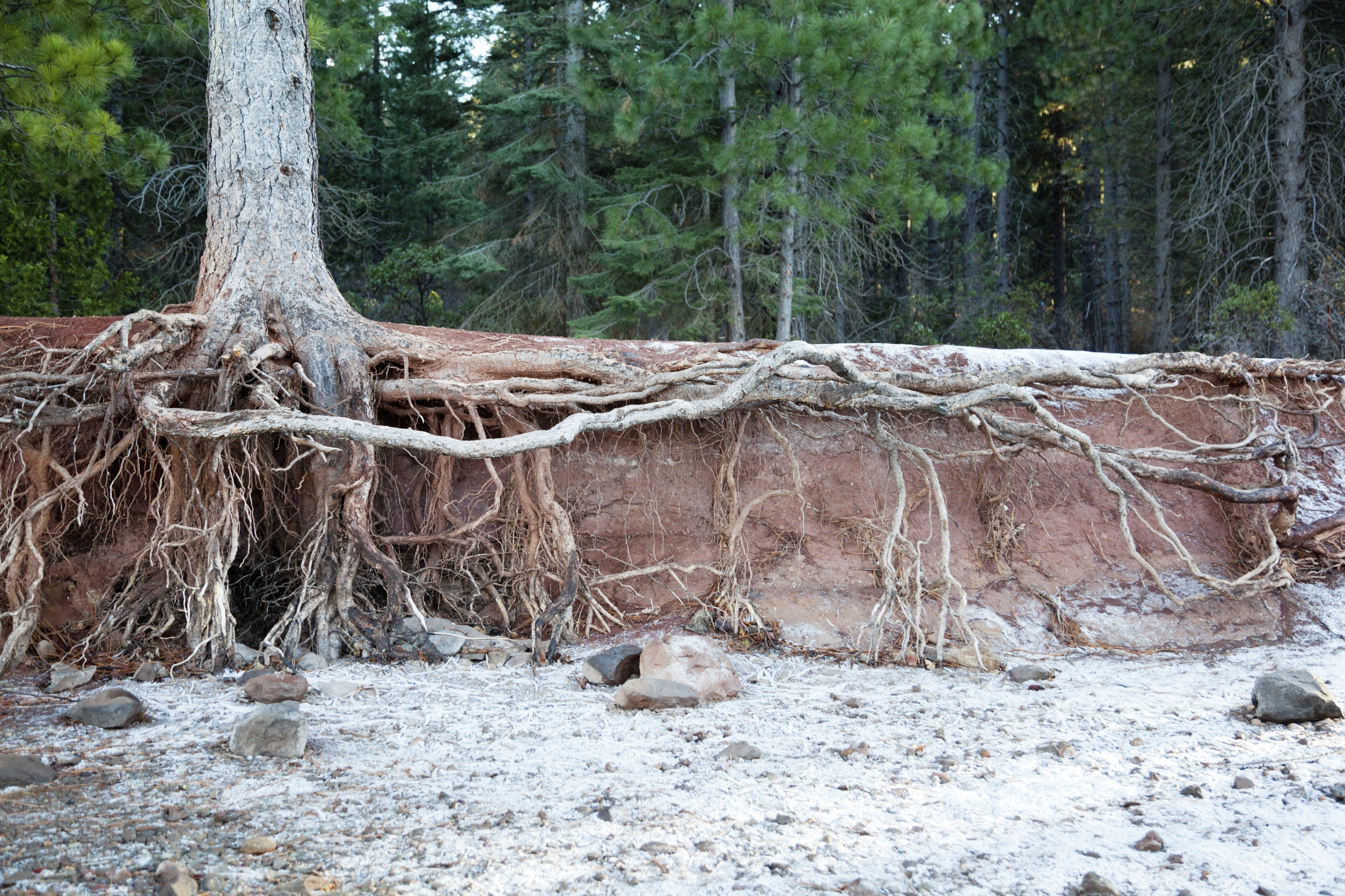 Abundance Mindset: Overcoming Culture Erosion to Create Safe & Healthy Workplaces - Part 3 of 4