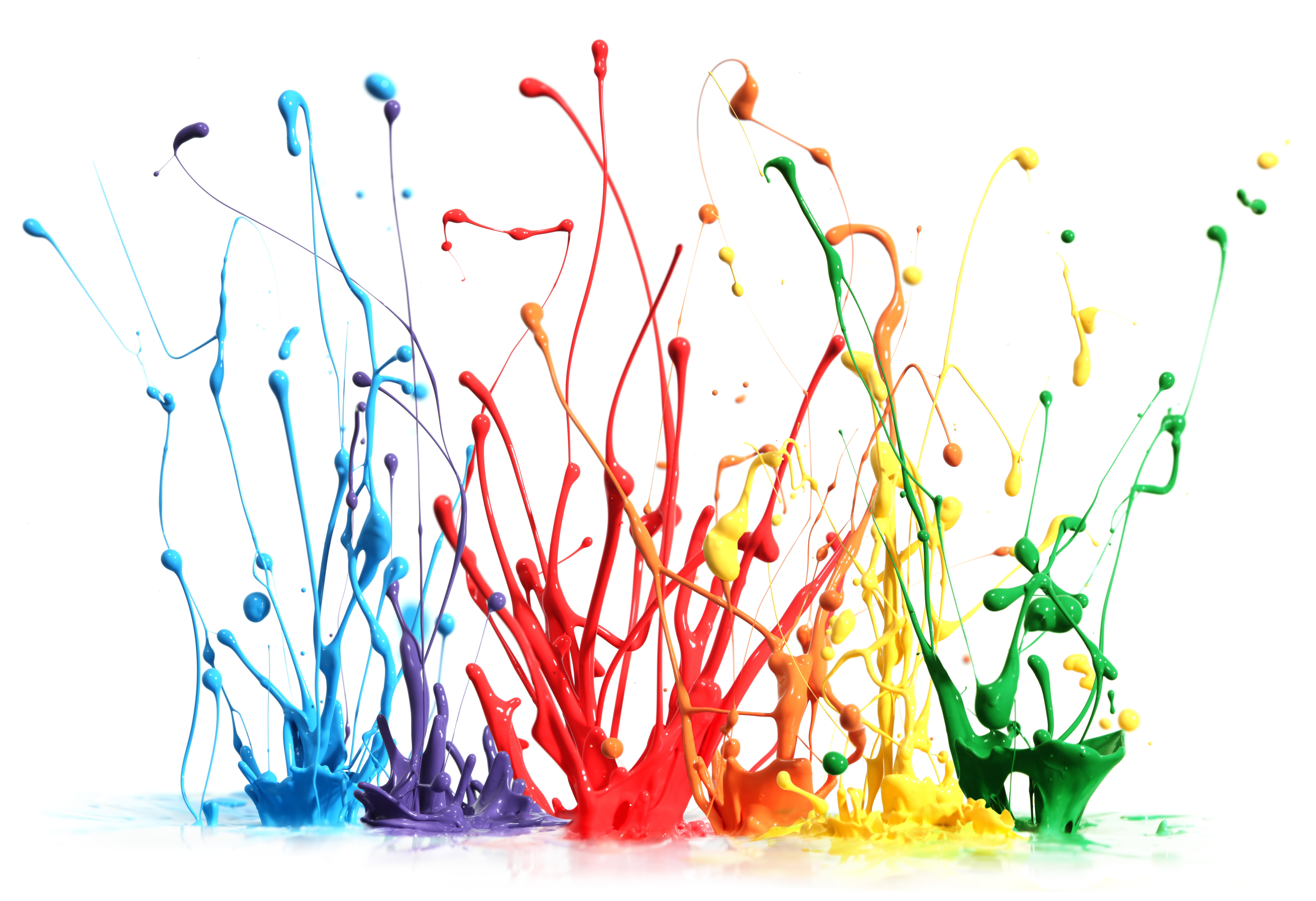 Examining the ROI of Executive Development - Methods, Practices, and Results
