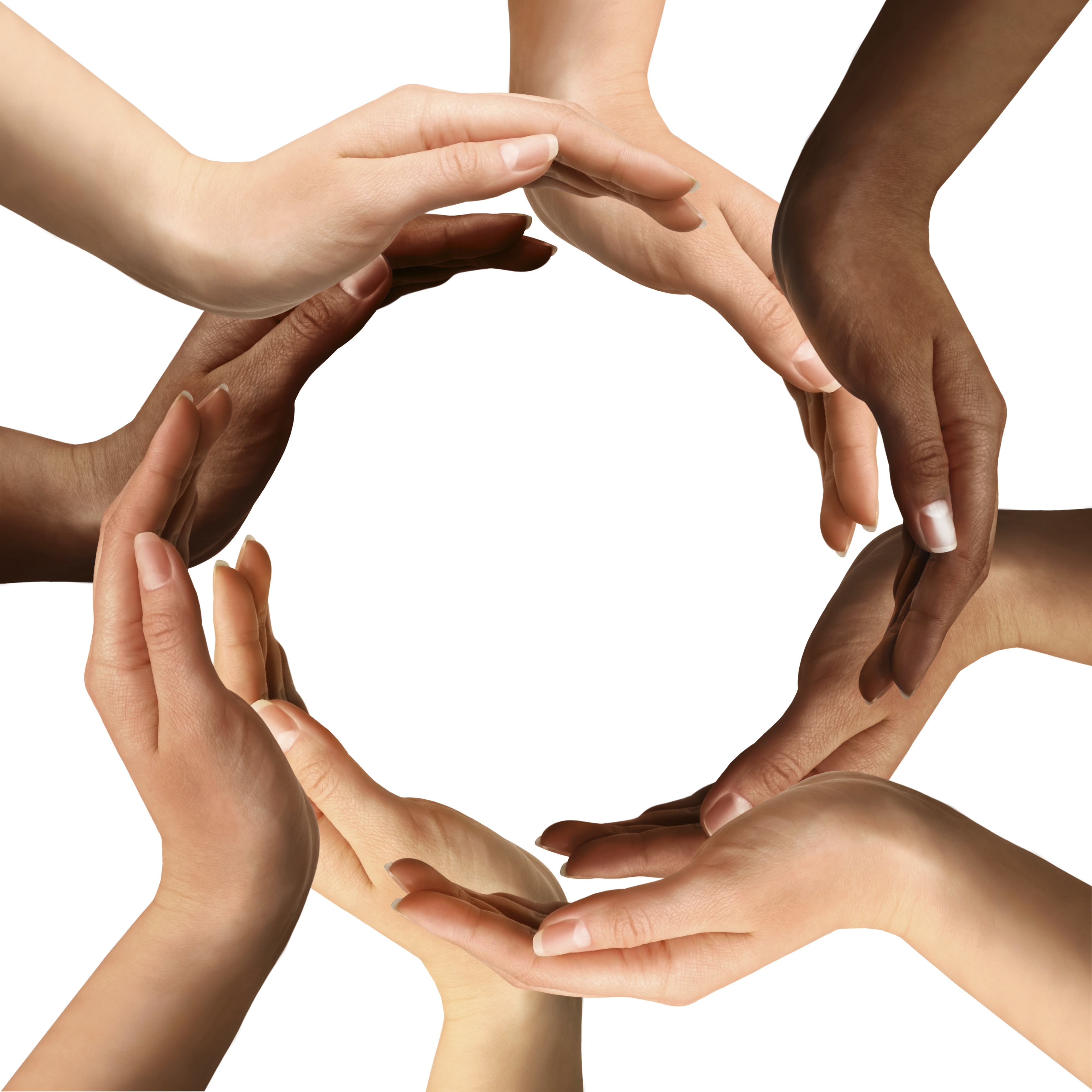 The Trifecta of Engagement: The Organization, the Manager, and the Employee