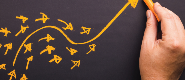 Developing Sustainable Leadership Pipelines