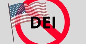 The State of DEI: Backlash, Business and Belonging