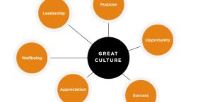 How to Make Your Culture a Magnet for Talent
