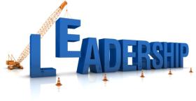 Leadership Development for Organizational Success (SIOP Whitepaper Series)