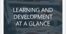 Learning and Development: At a Glance