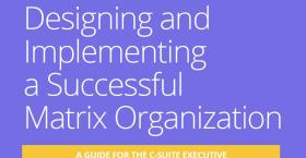 Designing and Implementing a Successful Matrix Organization