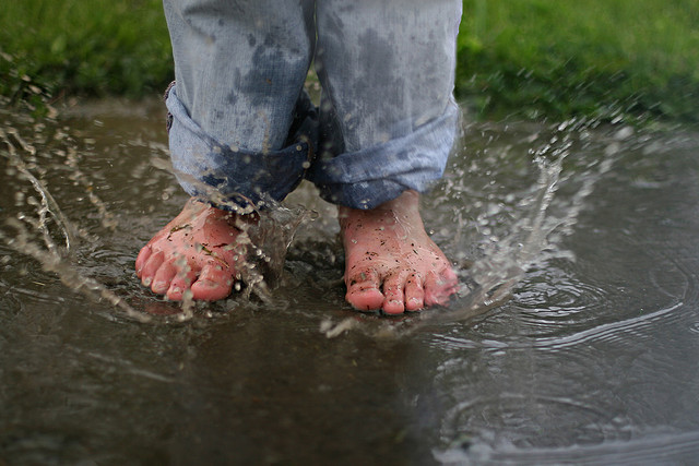 Talent Pool or Talent Puddle? How Deep is Your Succession Planning