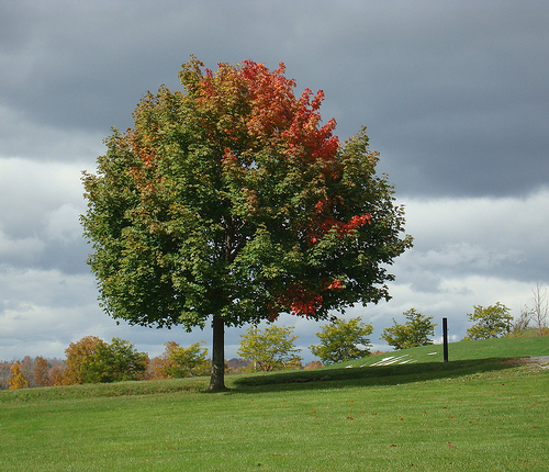 Growing through Change