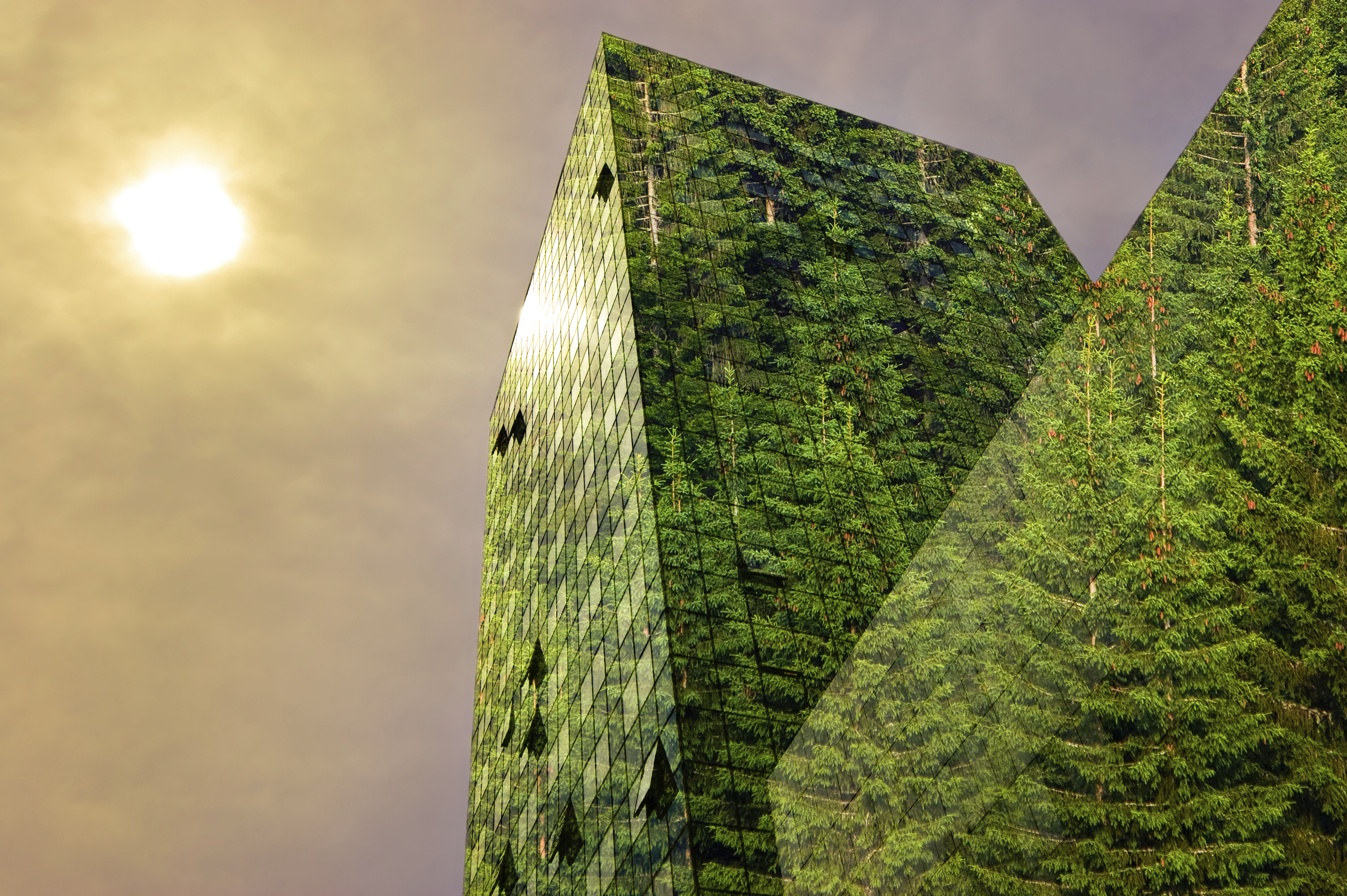 Long-term Sustainability for Individual and Organizational Performance